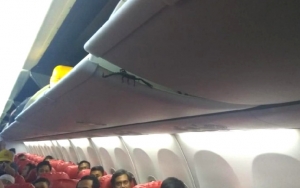 Kesaksian Penumpang Histeris Lihat Kalajengking Bertebaran di Kabin Pesawat Lion Air