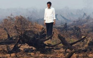 Tanggapan KLHK Soal Klaim Jokowi Pemerintah Berhasil Atasi Kebakaran Hutan