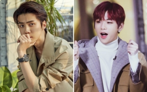 Kocaknya Respon Sehun EXO dan Kang Daniel Diserang Lebah di 'Coffee Friends'
