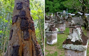 Penuh Makna dan Budaya, Ini 8 Tradisi Pemakaman Unik yang Jadi Wisata Menarik di Indonesia