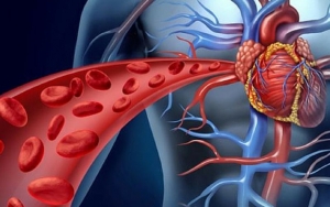 Cegah Stroke dan Serangan Jantung, Ketahui 8 Makanan yang dapat Memperlancar Aliran Darah