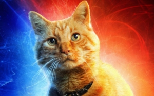 Mengenal Goose, Kucing Alien yang Bikin Nick Fury Kehilangan Mata Kirinya