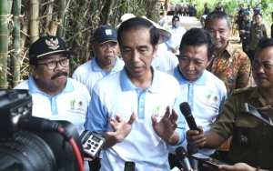 Banyak Investor Datang, Jokowi Heran Investasi Indonesia Justru Kalah dengan Negara-Negara ASEAN 