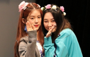 Taeha Dan Daisy Dikonfirmasi Tidak Akan Ikut Berpartisipasi Comeback Momoland Mendatang