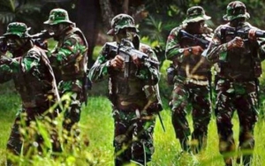 Staf Khusus Presiden Jokowi Minta 600 Prajurit TNI Ditarik Dari Nduga