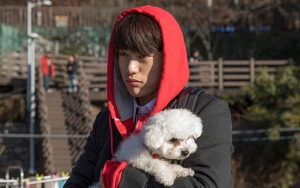 Jinyoung GOT7 Pamer Kedekatan dengan Anjing di 'He is Psychometric', Wajah Super Tampan Curi Fokus