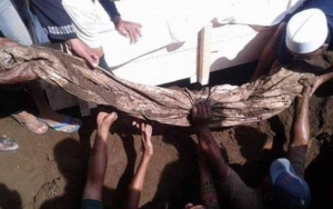 Jasadnya Ditemukan Utuh Usai 31 Tahun Terkubur, Ini Alasan Makam Kiai NU di Blitar Dipindah