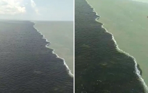 Air Laut Di Bawah Jembatan Suramadu Terbelah Dua Bak Teluk Alaska, Begini Penjelasan Pakar
