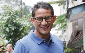  Jokowi Target 70 Persen Suara, Sandiaga: Sudah Kerja Saja Hasilnya Allah yang Menentukan