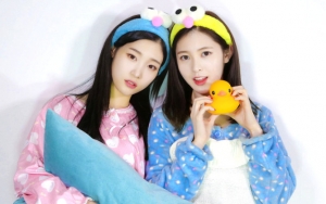 Jung Chae Yeon dan Yebin DIA Ungkap Kepribadian Asli dan Berhasil Mengejutkan Penggemar