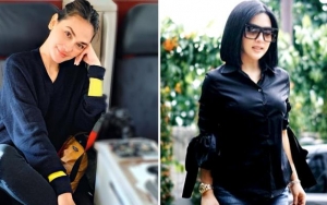 Luna Maya Dewi Penyelamat Kucing, Syahrini 'Dimaki' Tak Punya Otak Terobos Lampu Merah di Eropa