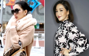 6 Selebriti Ini Pernah Pamer Naik Jet Pribadi, Ada Yang Kabarnya Cuma Buat Beli Bakso 