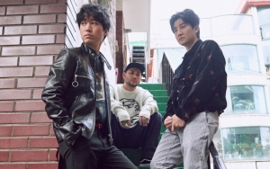 Heboh Lagu Epik High 'Lullaby For A Cat' Benar-Benar Bisa Tidurkan Kucing, Begini Kata Para Ahli