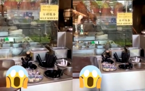 Viral Tikus 'Ratatouille' Jalan-Jalan di Nampan Makanan, Resto Singapura Ini Beri Klarifikasi