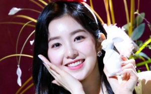 Cantiknya Kebangetan, Irene Red Velvet Dibilang Mirip Putri Konglomerat