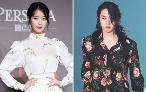 Kebakaran Hebat di Korsel, IU Hingga Kim Heechul Sumbang Ratusan Juta untuk Korban
