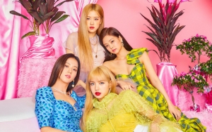 Black Pink Rilis Video Dance Practice 'Kill This Love', Fans Soroti Badan Lisa Gemukan