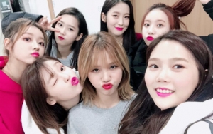 Oh My Girl Dilaporkan Akan Segera Comeback Dan Telah Lakukan Syuting Untuk MV