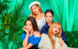 Aksi Panggung Keren Black Pink Ini Berhasil Bikin Netter Melongo