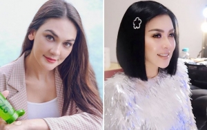 Luna Maya Cantik Alami dan Jago Panjat Dinding, Syahrini Diledek Cuma Bisa Maju Mundur