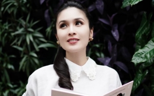  Gara-gara Foto Ini, Netter Semakin Yakin Sandra Dewi 'Isi' Lagi