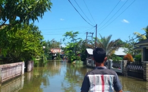 Aktivis Lingkungan Nilai Perusahaan Batu Bara di Sekitar DAS Memperparah Kondisi Banjir Bengkulu