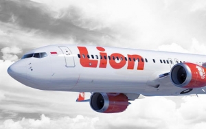 Viral Balita Disuruh Bawa Bagasi Sendiri ke Dalam Pesawat Lion Air, Maskapai Beri Penjelasan