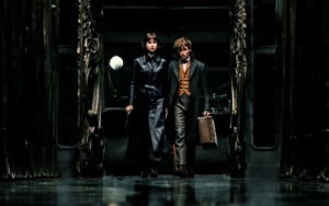 'Fantastic Beasts 3' Akhirnya Umumkan Tanggal Rilis, Incar Slot Akhir Tahun 2021