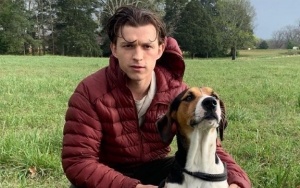 Tom Holland Bikin Fans Kesal Gara-Gara Kunjungi Bali