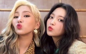 Giant Pink Dan Yeri Red Velvet Stres Bekerja Di MV Kolaborasi 'Tuesday Is Better Than Monday'