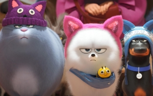 'The Secret Life of Pets 2' Kalahkan 'Dark Phoenix' di Puncak Box Office
