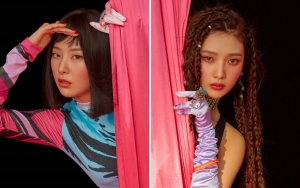 Netter Puji Habis-Habisan Seulgi dan Joy Red Velvet di Teaser 'The ReVe Festival' Tapi Kritik Kostum