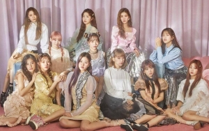 Fans Langgar Privasi, Agensi Ungkap Member IZ*ONE Alami Tekanan Mental dan Fisik