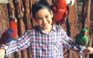 Aktor Cilik Ahdiyat Ikut Nyanyikan OST Film 'Koki-Koki Cilik 2', Bakal Banting Setir Jadi Penyanyi?