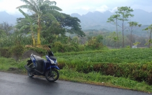 Asyik Nge-Vlog saat Naik Motor, Pasangan Ini 'Nyungsep' di Sawah