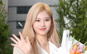 Tingkah Imut Sana Twice Kembali Jadi Viral, Begini Komentar Netter