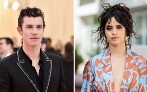 Shawn Mendes dan Camila Cabello Bagikan Teaser Single Kolaborasi Terbaru