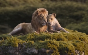 Promo Baru 'The Lion King' Tampilkan Duet Soundtrack Romantis 'Can You Feel the Love Tonight'