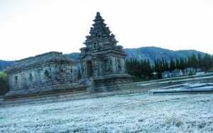  17 Hektar Lahan Hortikultura Terancam Rusak Akibat Fenomena Embun Es di Dieng