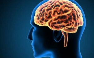 8 Kebiasaan Sepele Ini Bisa Merusak Otak hingga Menyebabkan Kematian, Hentikan Sekarang Juga!