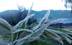 Jadi Magnet Wisatawan, Ini Bahaya Embun Salju di Dieng dan Bromo-Semeru Bila Terkena Kulit