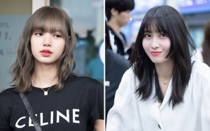 Netter Bandingkan Situasi Bandara Saat Lisa BLACKPINK dan Twice Tiba, YG Dikritik Bahayakan Artisnya