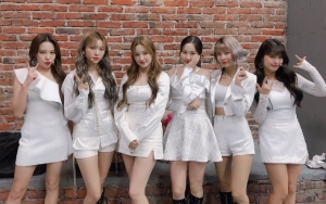 Fans Ngamuk Usai Seorang Pria Ketahuan Masturbasi di Fanmeeting Momoland