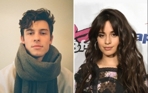 Foto Mesra Shawn Mendes dan Camila Cabello Beredar, Rumor Kencan Makin Menguat