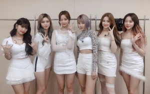 Sempat Alami Pelecehan Seksual, Agensi Momoland Peringati Haters Bakal Laporkan Komentar Jahat