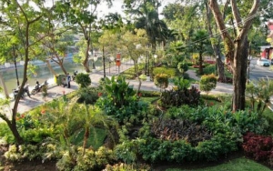 Pemkot Surabaya Sulap Stren Kali Mas Ngagel Jadi Taman, Ada Jogging Track Hingga Wisata Perahu Malam