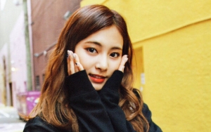 Tzuyu Twice Bikin Staf Bandara Melongo Saking Cantiknya