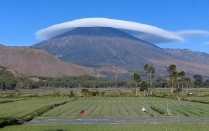 Viral Penampakan Gunung Rinjani 'Bertopi' Dikaitkan Gempa, BMKG Buka Suara