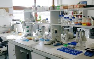 Kocak dan Bikin Ngakak, Ini Pengakuan Siswa Jurusan IPS Saat di Laboratorium