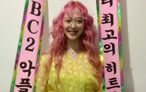 Memar di Lutut Sulli Bikin Netizen Berpikiran Mesum dan Aneh-Aneh 